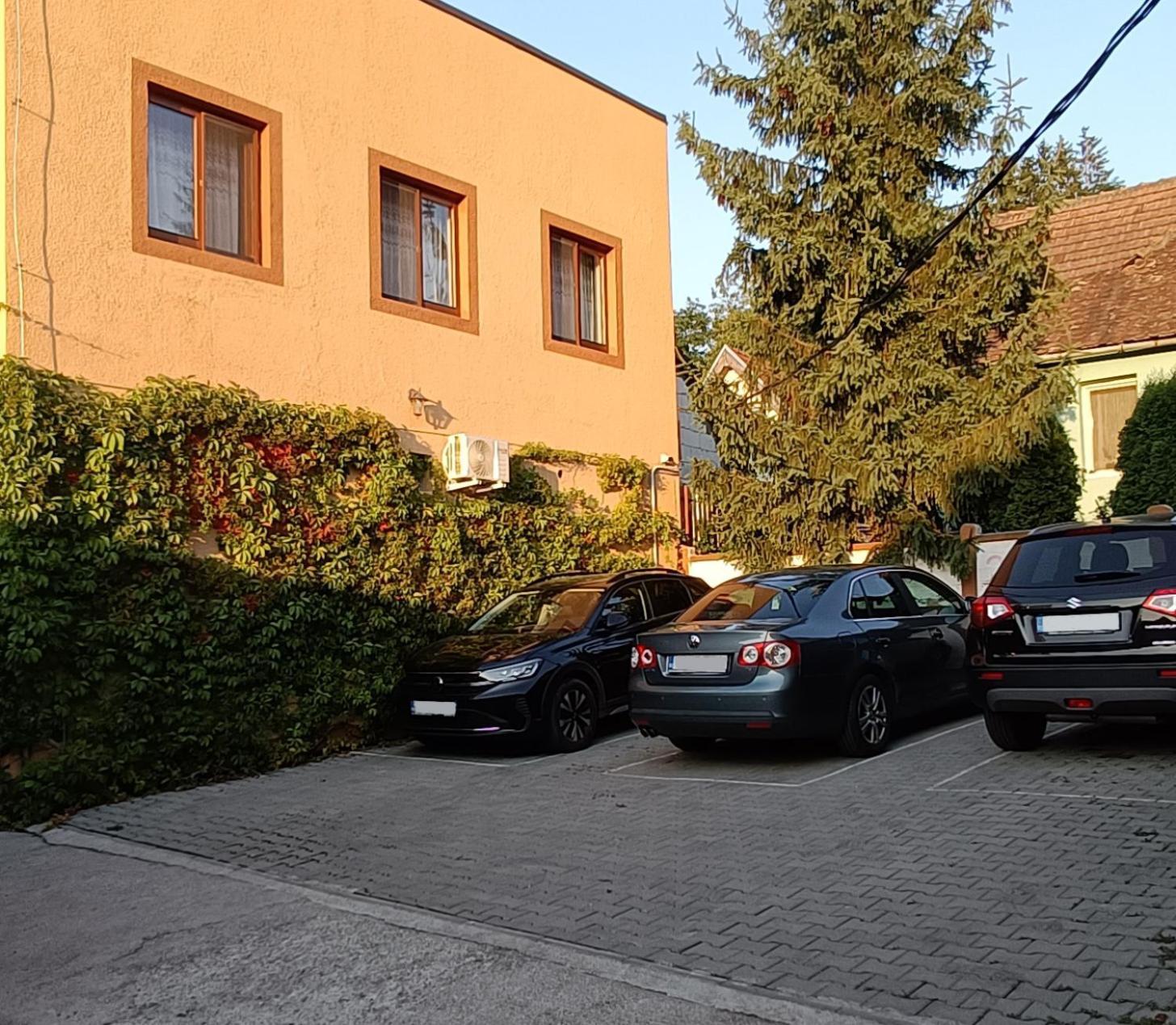 Pensiunea Casa Sighisoreana Segesvár Kültér fotó